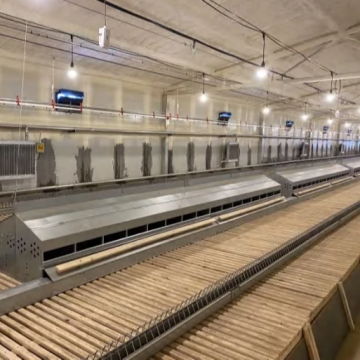 Automatic Laying Nests for Breeder Chicken Farms