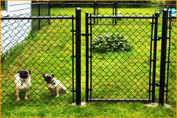 Colored used galvanized chain link fence