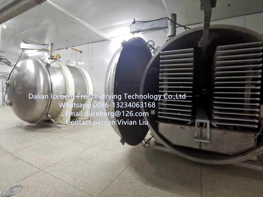 Industrial Freeze drying equipment