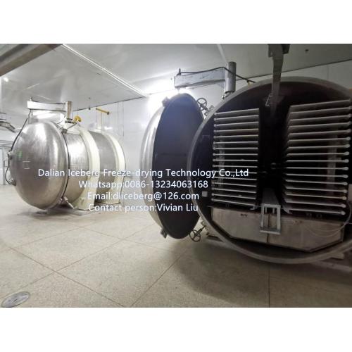 Industrial Freeze drying equipment