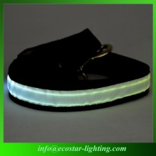 Reflective LED Dog Leash Wholesale LED Reflective Dog Leashes