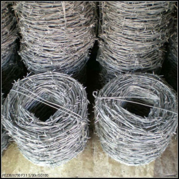 Gal/hot dippped/electro gal /ss/PVC coated barbed wire