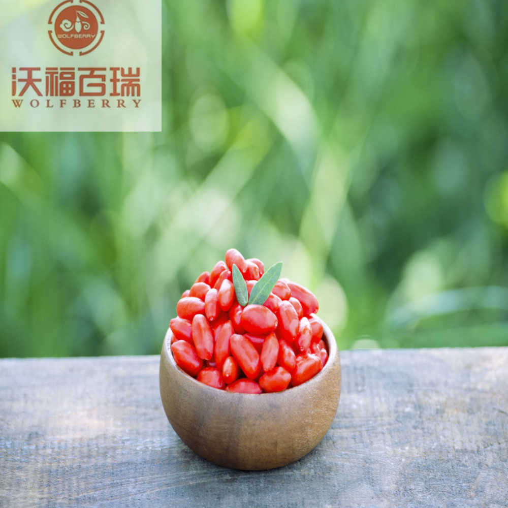 Goji बेरी / Wolfberry / प्रमाणित goji जामुन