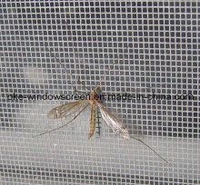Fiberglass Mosquito Netting Anping ?(OKE-03)