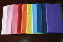 Plastic Tablecloth