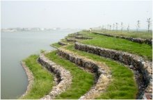 direct sale hill slope protection network