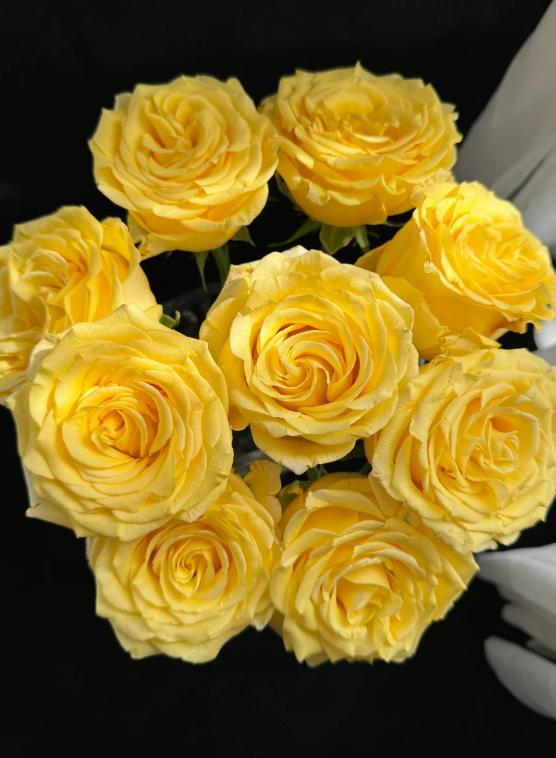 গোল্ডেন স্ট্রাইক রোজ Golden Strike Rose