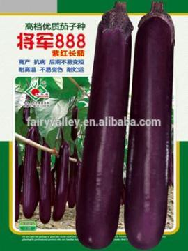 Super High Yield Hybrid Purple Long Eggplant Seeds For Sale-General888