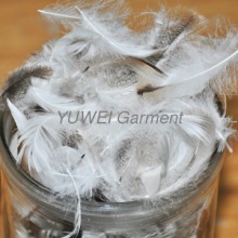 Washed Grey Duck Feather 4-6CM