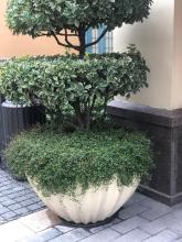 Big Creative White Cement Plant Pot