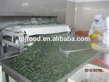 IQF chopped spinach - leaves