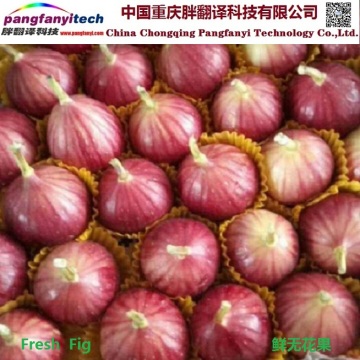 Fresh Natural Nutritional Tasty Self-planted Sweet Fig