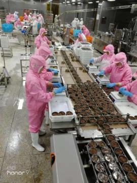 Complete tuna canned production line canned fish machine