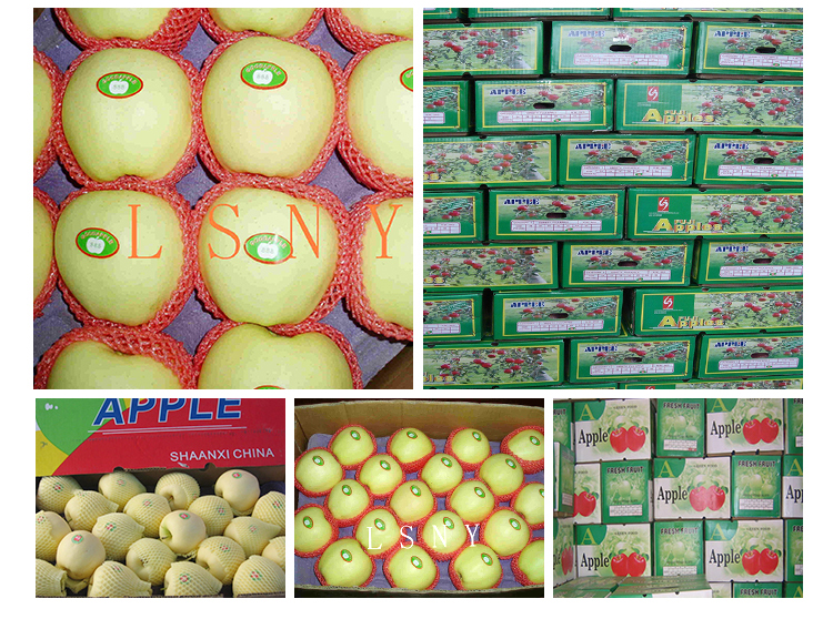 Hot sale China Fresh fruit golden delicious apples