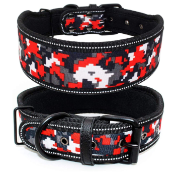 Soft Lining Padded Dog Collar