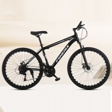 Wholesale mountain bike 21 speed off-road cycling bicycle