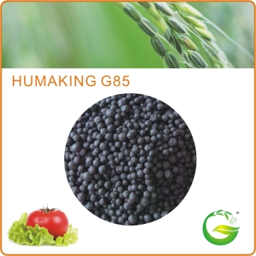 Organic humic acid nitrogen fertilizer