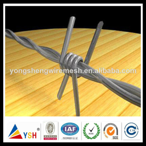 Cnina Manufacturer Galvanzied Barbed Wire (YSH Factory)