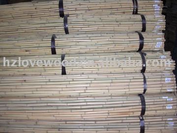 Bamboo Garden Stick