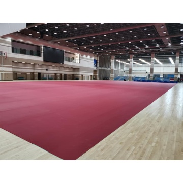 piso deportivo de voleibol interior