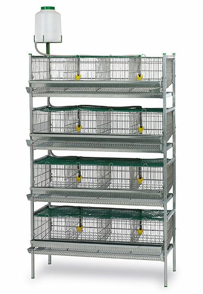 automatic design battery layer chicken cages/ commercial quail layer cage