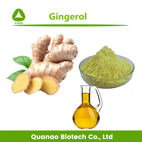 Huile de Gingerol 50% Extrait de Racine de Gingembre Croissance des Cheveux