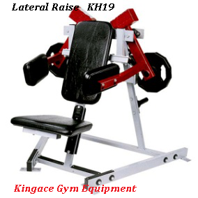 Plate Loaded Hammer Strength Iso-Lateral Rowing Machine