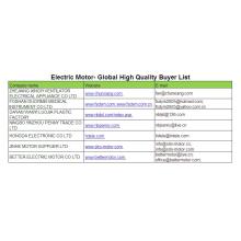 Motor elektrika - Lisitry ny mpividy maneran-tany