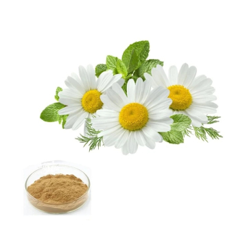 Narural 20: 1 Chamomile Extract Powder