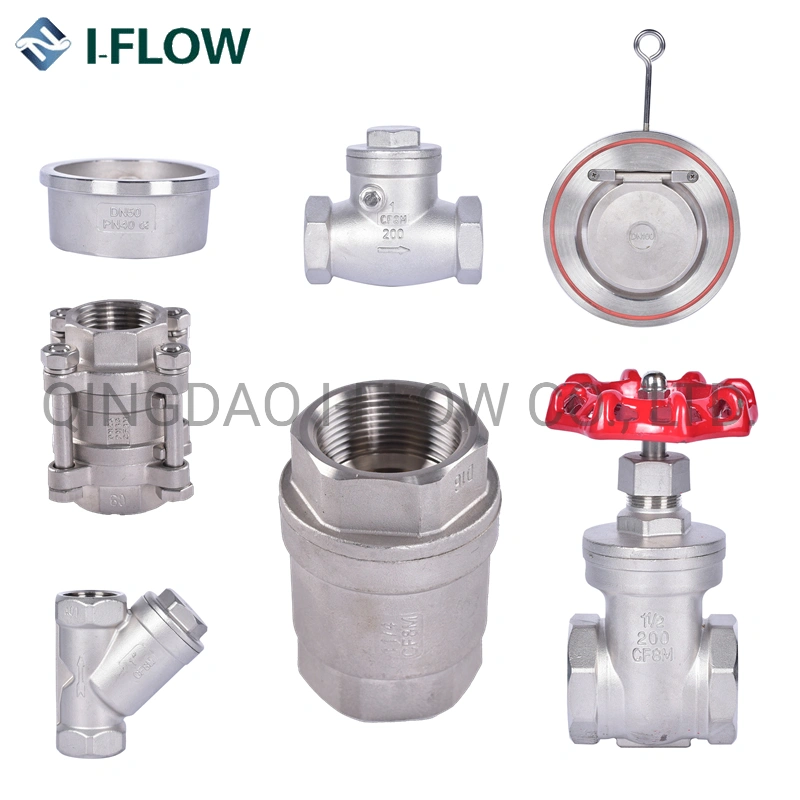 Y Strainer with Blow-off Threaded 800psi/Pn40 Wcb/CF8/CF8m/CF3m ANSI B2.1/ BS21/ISO7/1