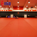 Table Tennis sports court floor