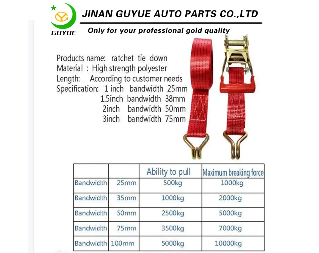 Ce GS TUV ISO Cetificate Tension Ratchet Tie Down/Lashing Belt