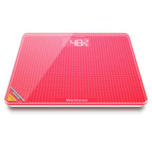 Rohs Approval Digital Weighing Scales