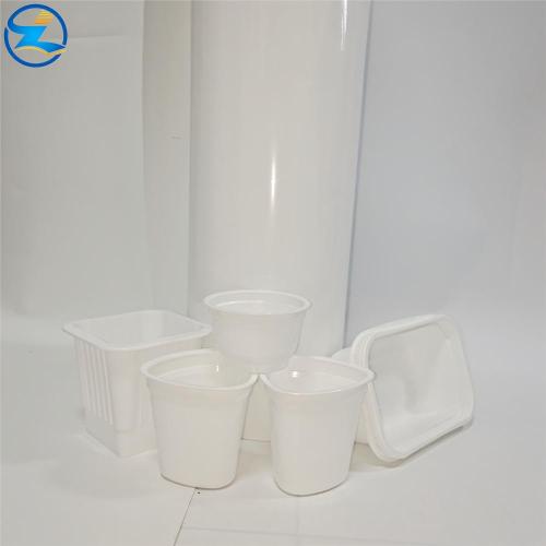 Colored PP rolls sheet films for food containers