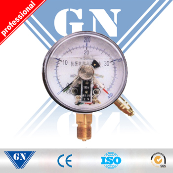 Cx-Pg-Sp Electric Contact Silicone Filled Pressure Gauge (CX-PG-SP)