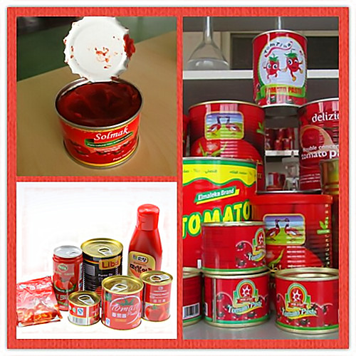 All Kinds of Tomato Paste in 2014