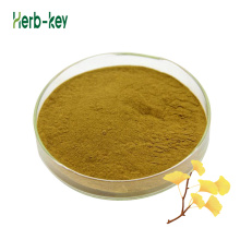 Ginkgo Leaf Powder Ginkgo Biloba Folium Extract