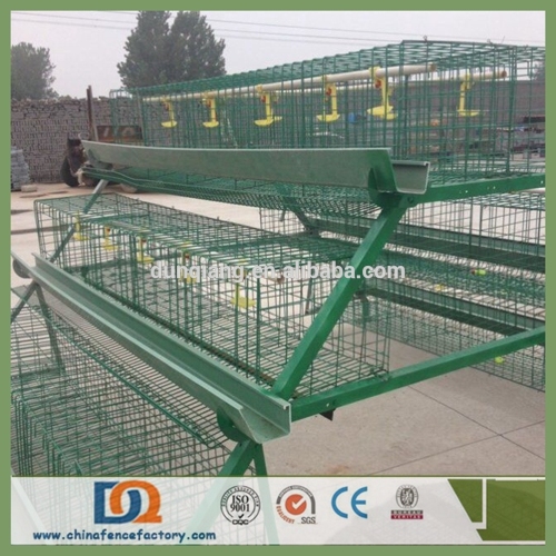 Hot sale galvanized chicken laying cages for egg chicken