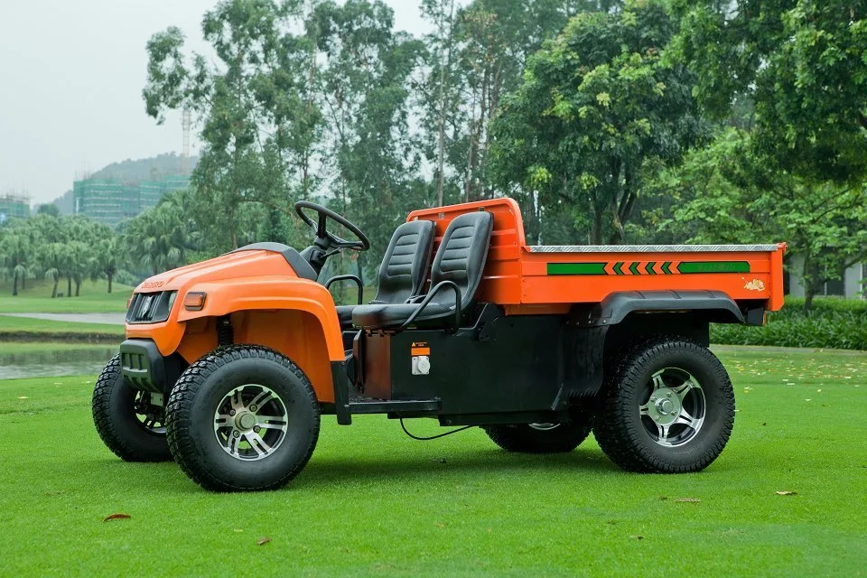 Impressive Design 4 Wheeler Electric UTV with Ce Certification