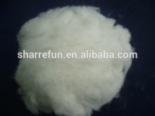 Chinese Fox Wool Supplier, Carded and Dehaired Silver Fox Wool