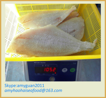 Frozen Fish Export to Chile Market (brama brama fillet)