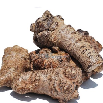 pseudo ginseng slice tea