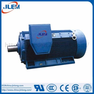 NEMA medium voltage motor