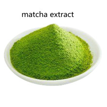 Buy online active ingredients matcha extract powder