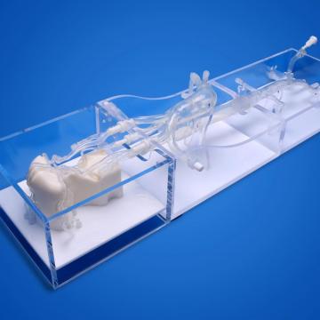 Silicone Neuro Vessels