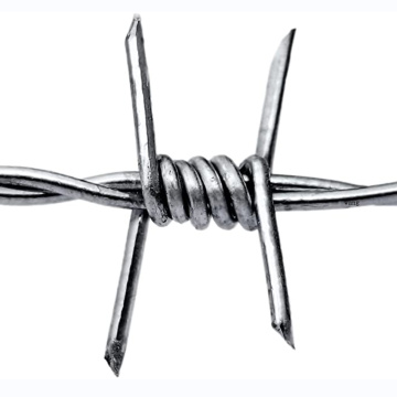 Galvanzied double twist barbed wire