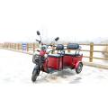 Trike de loisirs électrique 650 W pour les aînés