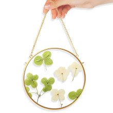 Custom Brass Hanging Photo Frame for 4x6 Inch Pressed Flowers - Double Glass Floating Display