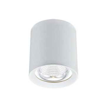 LEDER Hanging Dimmable 20W LED Downlight