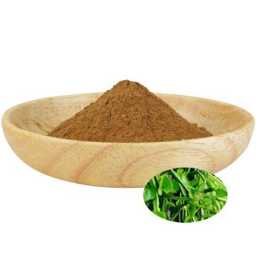 Natural Cissus Quadrangularis Leaf Extract Powder 10:1